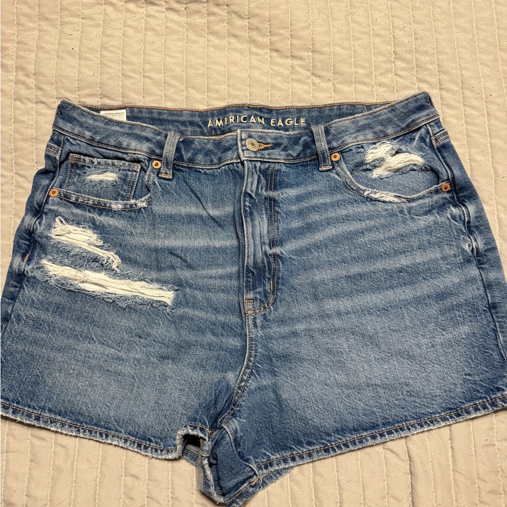 American Eagle Outfitters Women's Blue Denim Shorts